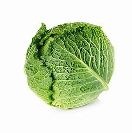 Cabbage Savoy