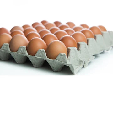 Colony Eggs Size 6 Tray (30)