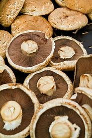Mushrooms Portabello