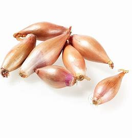 Onions Shallots