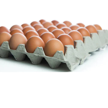 Free Range Eggs size 7 Tray (30)