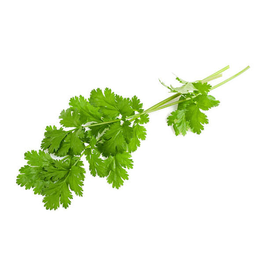 Coriander 100gm