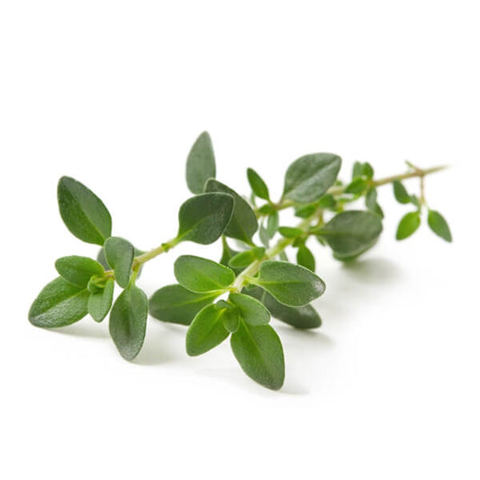 Thyme 100gm