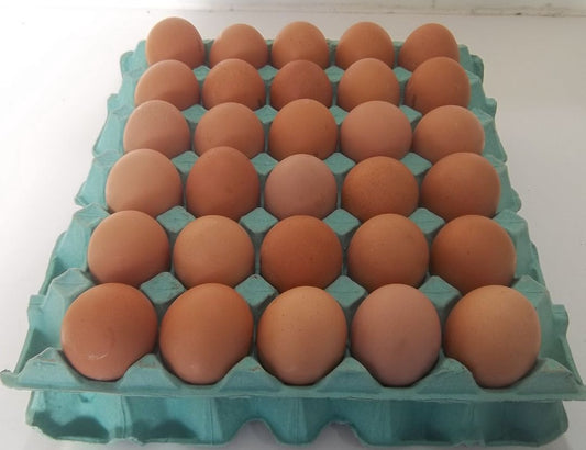 Free Range Eggs Dozen
