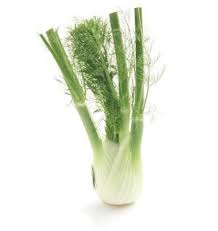 Fennel Florence Bulb Each