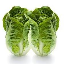 Lettuce Cos Twin Pack