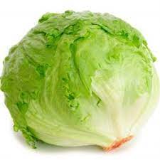 Lettuce Iceberg