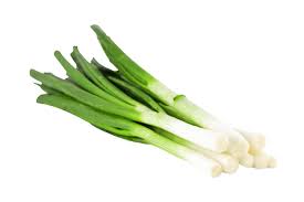 Spring Onion Bunch
